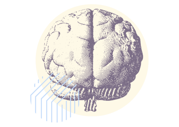 Brain illustration